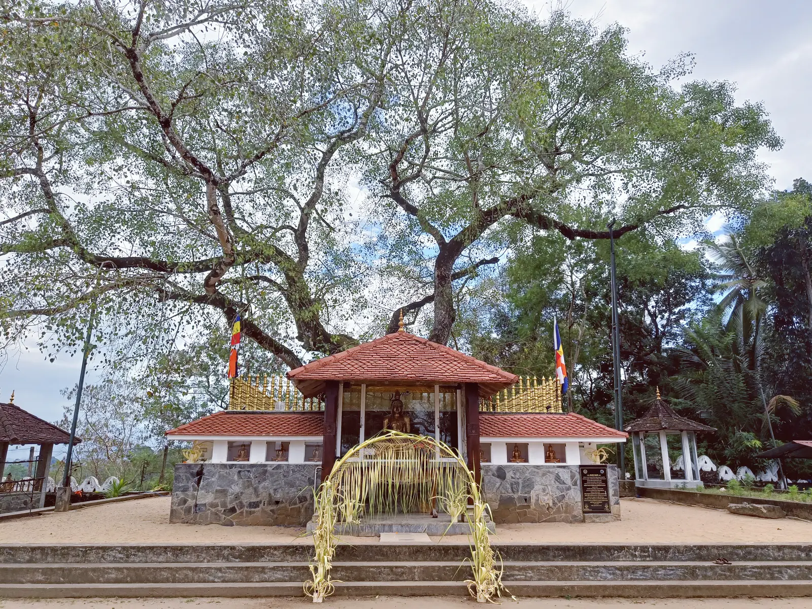 Colourful traditions and sacred Kandy